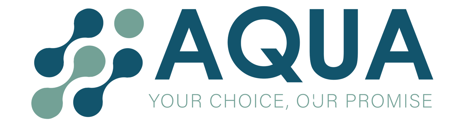 AQUA POS